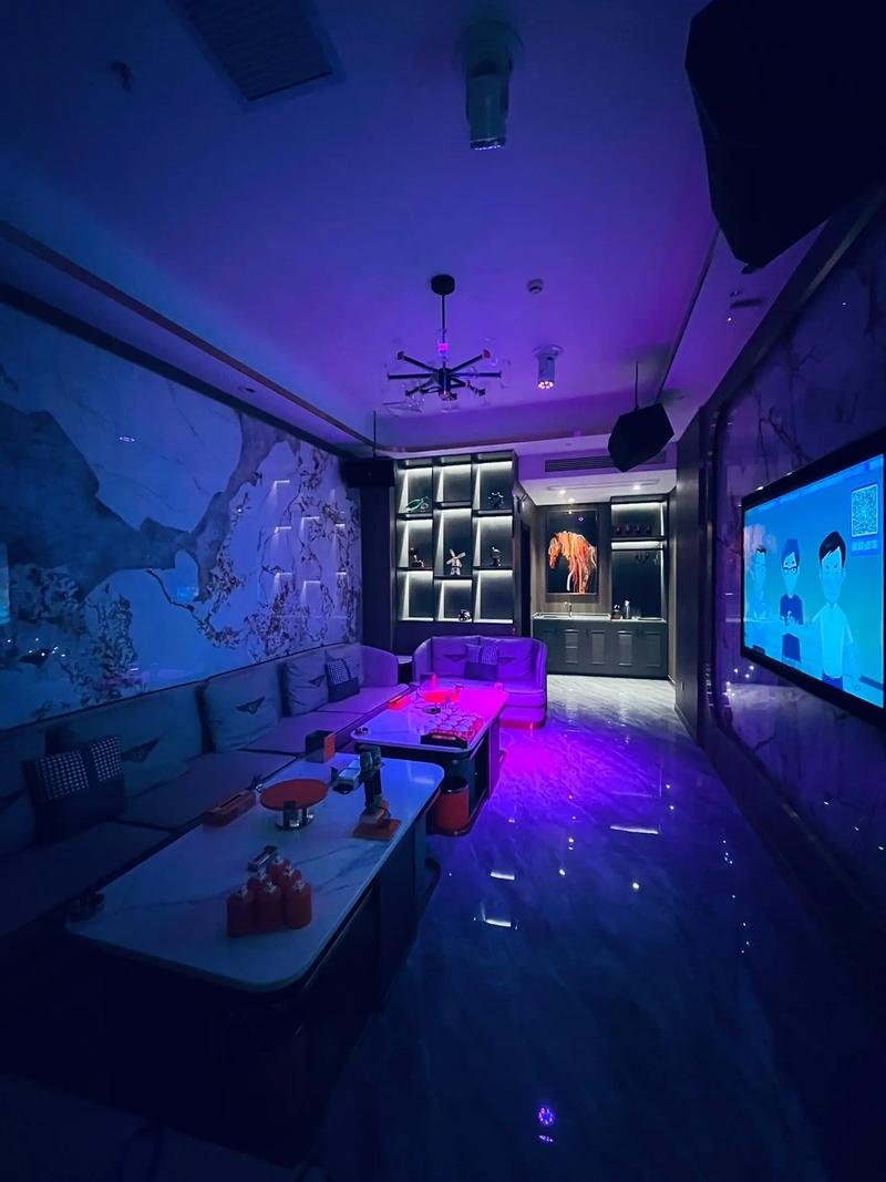 忻州商务ktv环境怎么样值得推荐-宁武县ktv预定